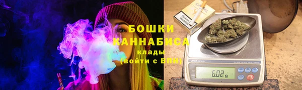 spice Богданович